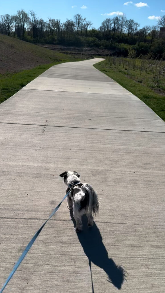 Great Rivers Greenway trails